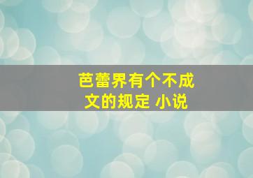 芭蕾界有个不成文的规定 小说